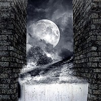 Портфолио Haos